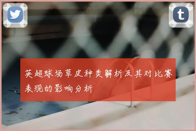 英超球场草皮种类解析及其对比赛表现的影响分析