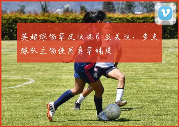 英超球场草皮状况引发关注，多支球队主场使用真草铺设