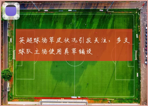 英超球场草皮状况引发关注，多支球队主场使用真草铺设