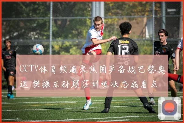 CCTV体育频道聚焦国乒备战巴黎奥运 樊振东孙颖莎训练状态成看点