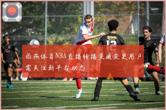 雨燕体育NBA直播转播渠道变更用户需关注新平台动态