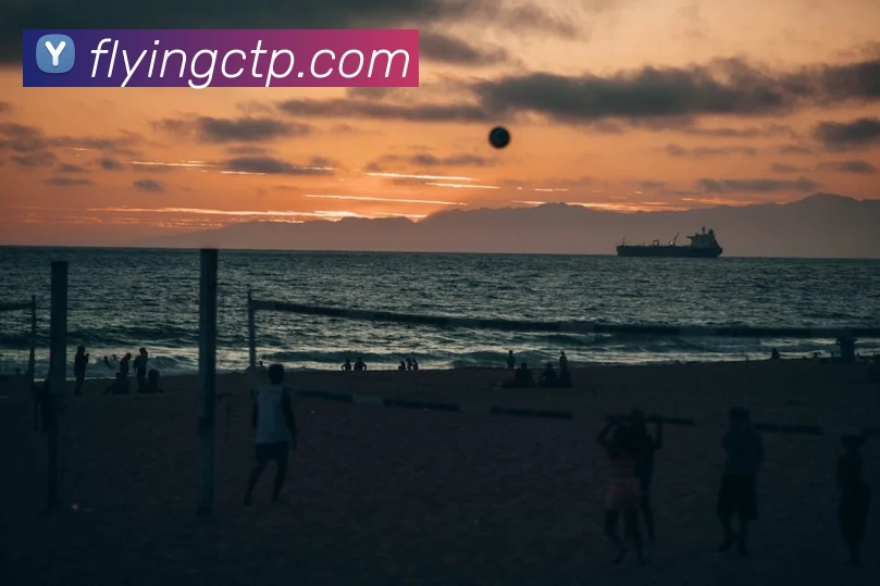 AC米兰(中国)体育官方网站 - MILAN SPORTS服务体系